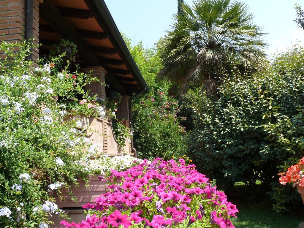 Agriturismo Da Lorena Marsiliana Ngoại thất bức ảnh